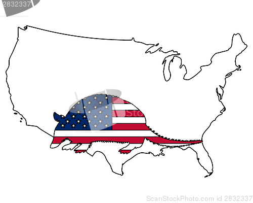 Image of Armadillo United States of America