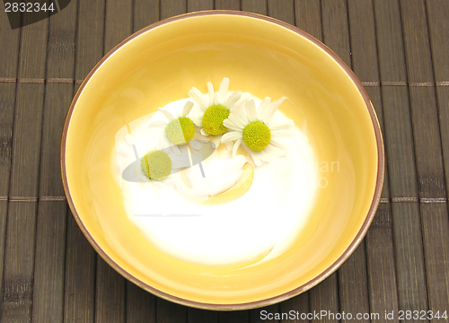 Image of Camomile bloom in a cream on brown mat