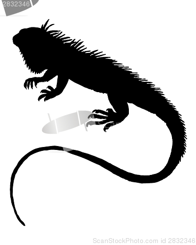 Image of Iguana silhouette 