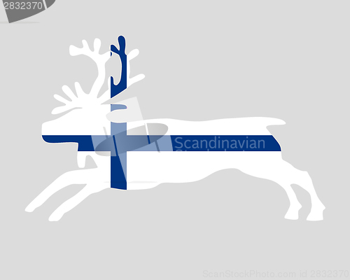 Image of Reindeer of finland