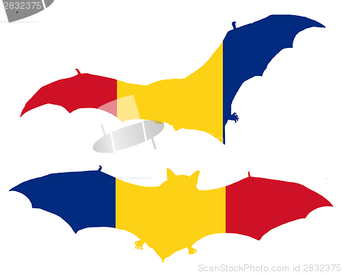 Image of Flag of Romania with bat