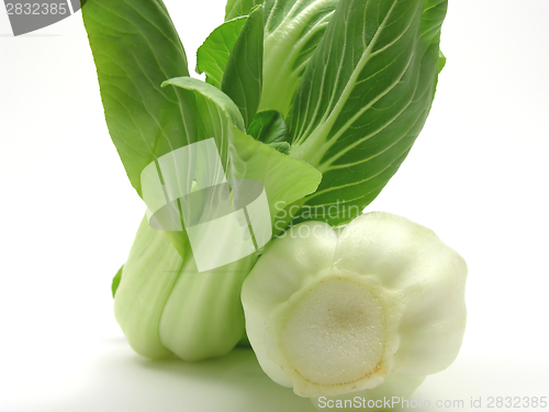 Image of Pak choi arranged on a white background