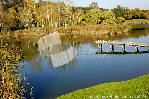 Image of Park in the autumn day