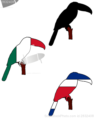 Image of Toucan flags