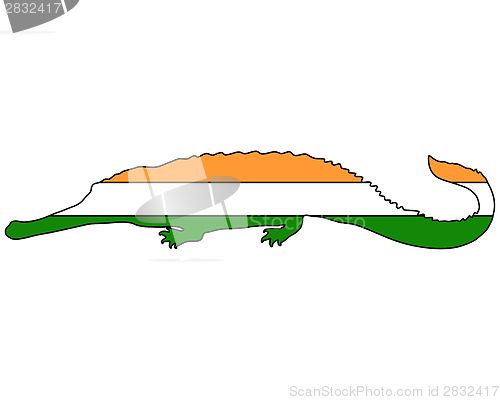 Image of Gharial India