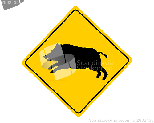 Image of Wild boar warning sign