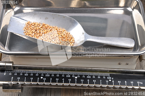 Image of Old kitchen scales on wood