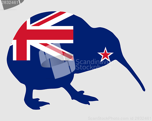 Image of New Zealand kiwi