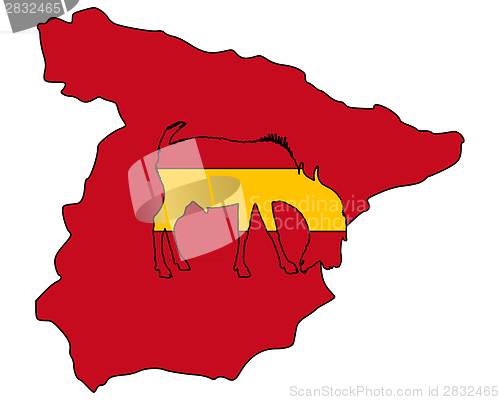 Image of Spanish he-goat