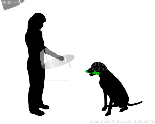 Image of Dog training (obedience): command hold
