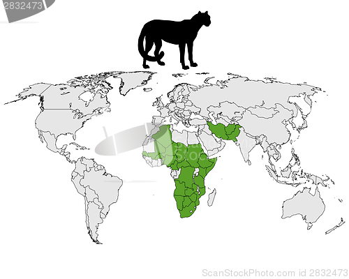 Image of Cheetah distribution