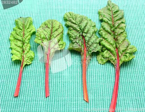 Image of Four red stemmed chard on green background