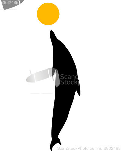Image of Dolphin silhouette