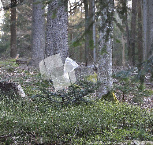 Image of Forestal damage protection