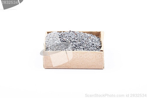 Image of Poppy seed