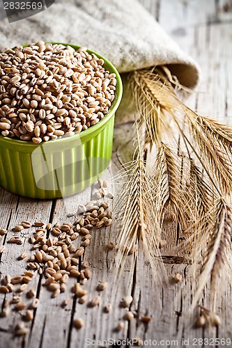 Image of wheat grain in bowl and ears 