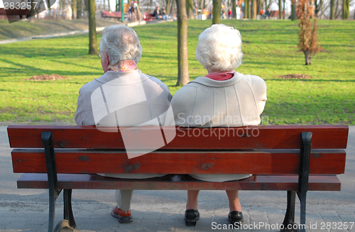 Image of A couple of seniors