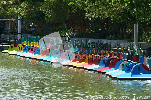 Image of Numbered paddle boats