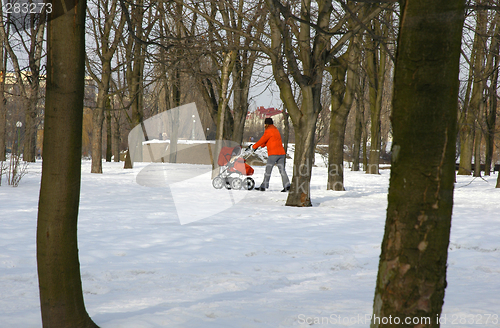 Image of Winter walk