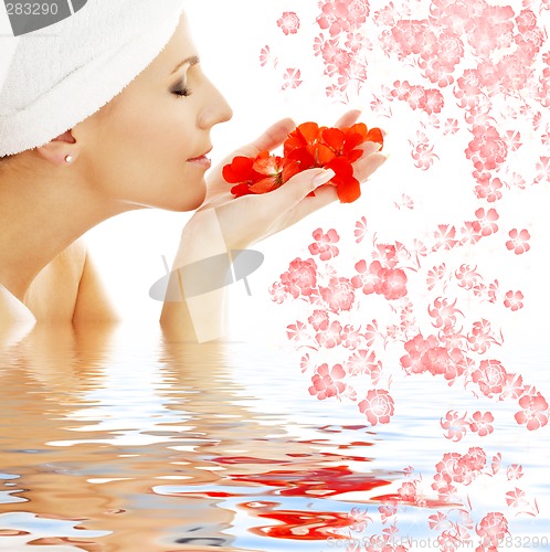 Image of red petals and flowers in water #2