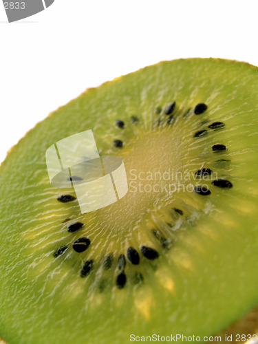 Image of kiwi