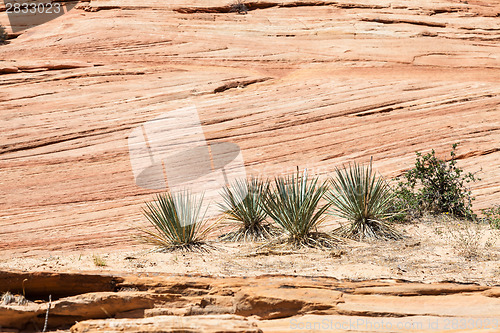 Image of Zion National Park