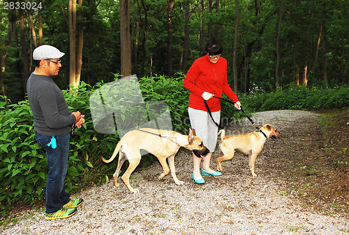 Image of Couple with there dog's.