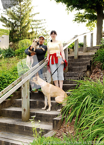 Image of Couple with dog's.