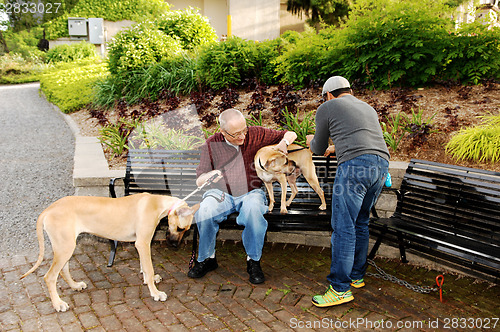 Image of Men with dog's.