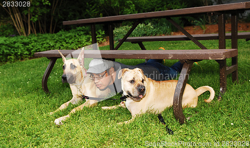 Image of Man with two dog's.