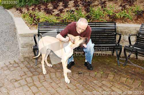 Image of Man with dog.