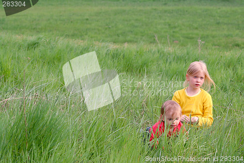 Image of In the grass