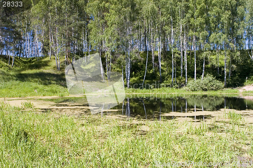 Image of forest lake