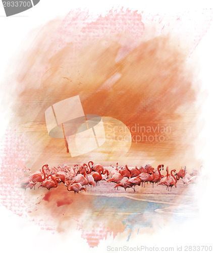 Image of Watercolor Image Of  Flamingos