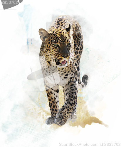 Image of Watercolor Image Of  Leopard 