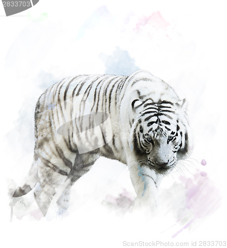 Image of Watercolor White Tiger Portrait