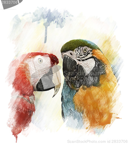 Image of Watercolor Image Of  Parrots