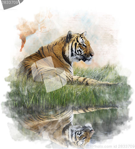 Image of Watercolor Image Of  Tiger 