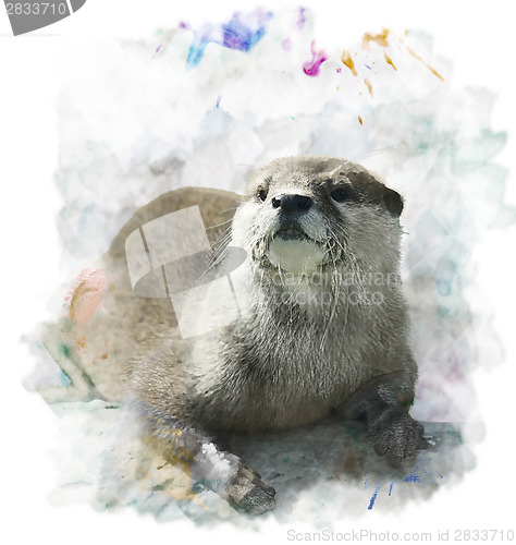 Image of Watercolor Otter Portrait 
