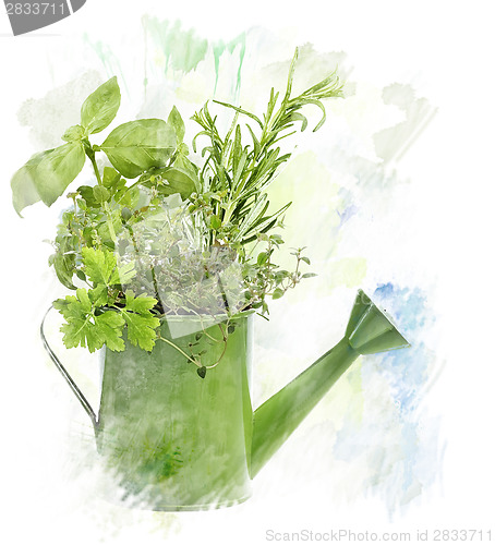 Image of Watercolor Image Of  Herbs