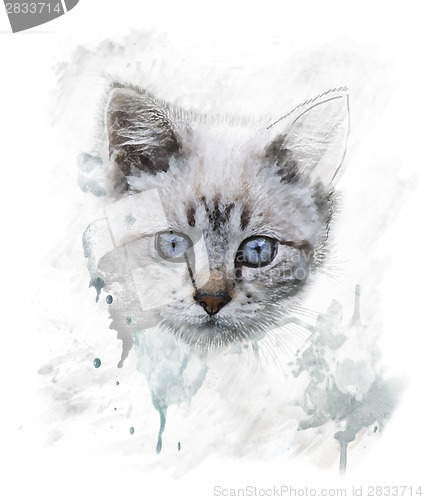 Image of Watercolor Portrait Of Young Cat