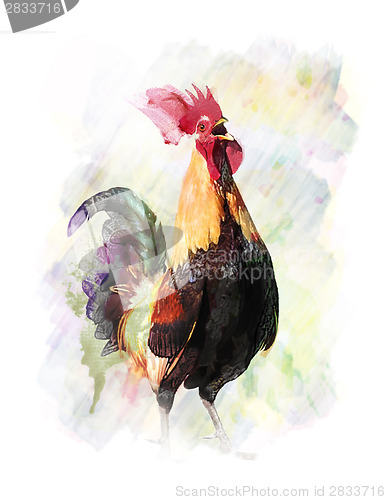 Image of Watercolor Image Of  Rooster