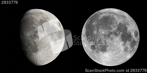 Image of Gibbous and full moon