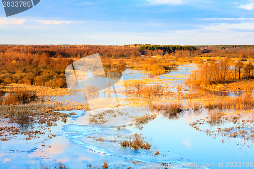 Image of Spring Landscape With Flooded Trees