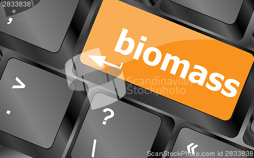Image of Keyboard keys with biomass word button