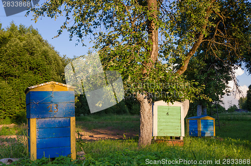 Image of wooden beehive lit evening sun in the garden 