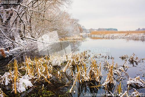 Image of View On The Bog. Grass And Water.