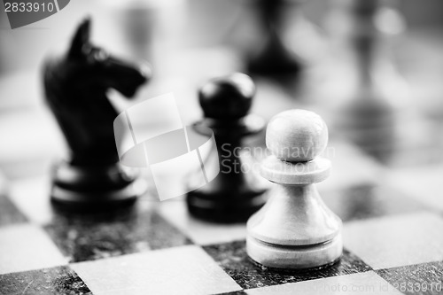 Image of White and black chess pawns and knight standing on chessboard