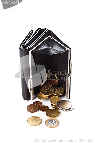 Image of purse and euro coins 