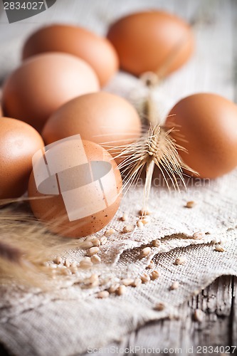Image of  fresh brown eggs, wheat seeds and ears